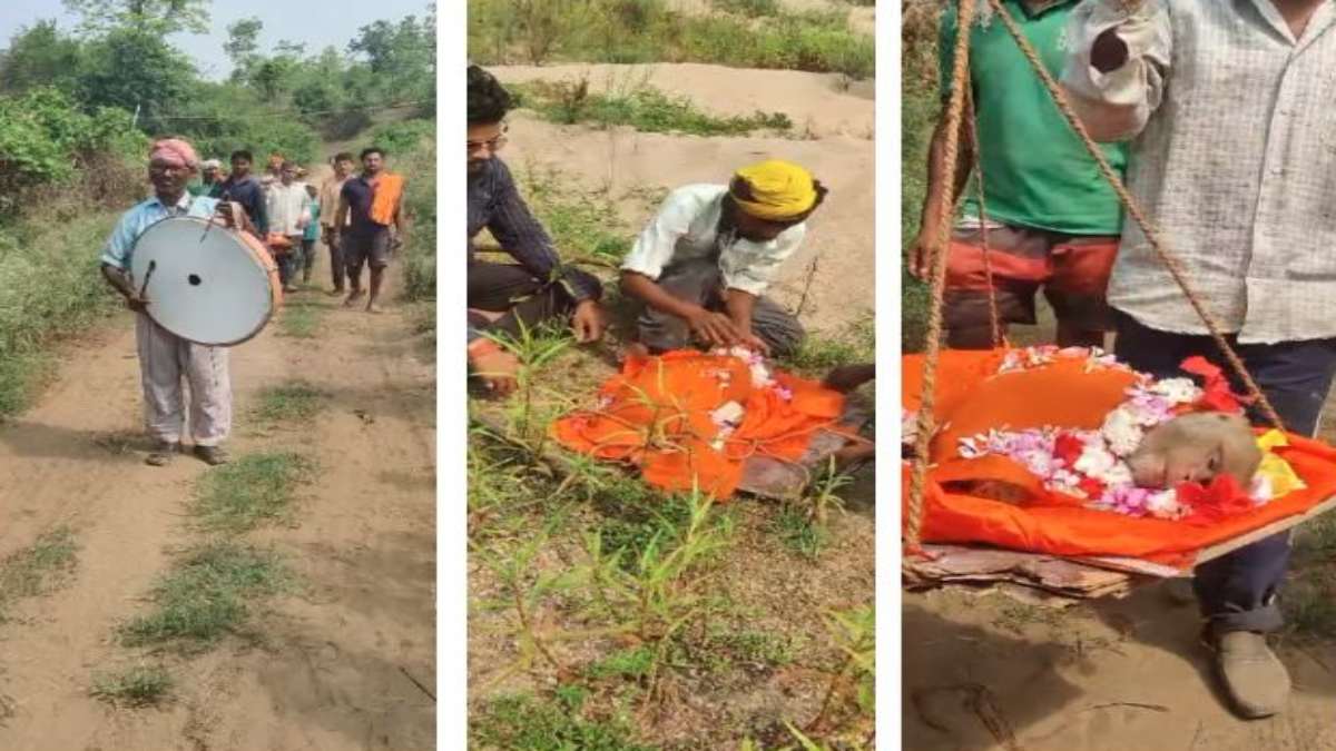 बाजे-गाजे के साथ निकली बंदर की शव यात्रा, ग्रामीणों ने विधि-विधान से किया अंतिम संस्कार, देखें VIDEO