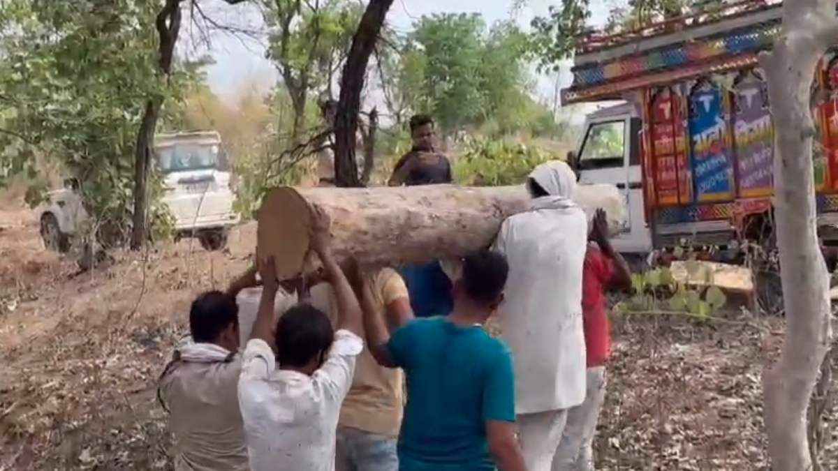 वन अमले ने तस्करों को फिल्मी स्टाइल में पकड़ा: 40 किलोमीटर तक पीछा किया…तीन गिरफ्तार, 2 लाख से ज्यादा की बेशकीमती लकड़ी जब्त