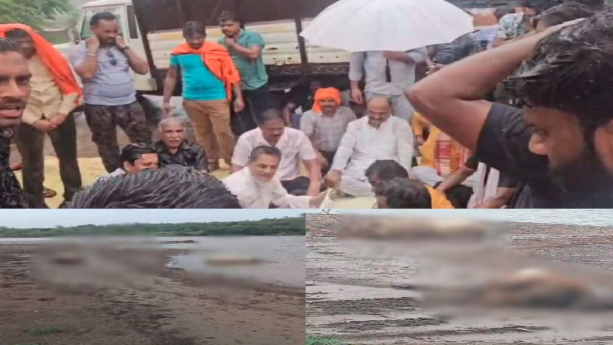 सिवनी में 50 से ज्यादा गायों की हत्या का मामला: भारी बारिश में धरने पर बैठे विधायक, विशेष समुदाय पर की अशोभनीय टिप्पणी