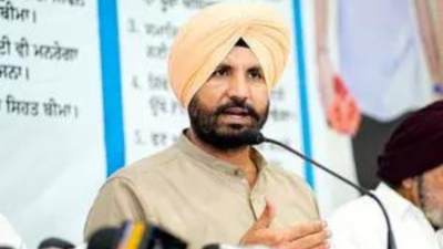 आप से हाथ न मिलाते तो कांग्रेस अधिक सीटें जीतती : राजा वडिंग