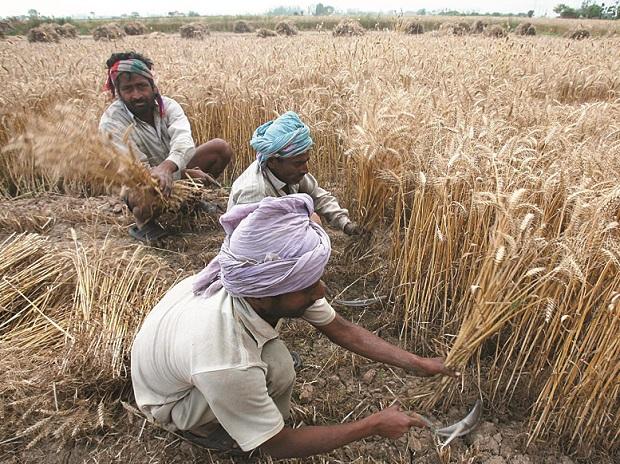 Punjab : किसानों के खातें में 28341.28 करोड़ रुपए से अधिक की राशि ट्रांसफर