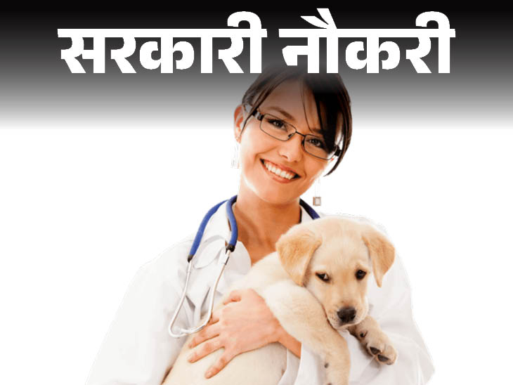 पंजाब सरकार करेगा 300 पशु चिकित्सा अधिकारियों की भर्ती