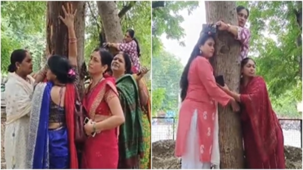 माननीयों के बंगले के लिए नहीं कटने देंगे पेड़: हरियाली बचाने के लिए पेड़ों से चिपकी महिलाएं, सरकार से की ये अपील 