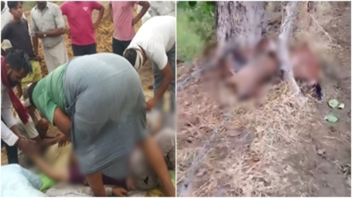 MP में दिखा आकाशीय बिजली का कहर: ग्वालियर में 4 लोगों की मौत, एक गंभीर, कटनी में 8 बकरियों की गई जान 