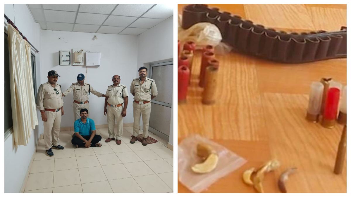 त्यौहार और पार्टी वाले दिन करते थे वन्य प्राणियों का शिकार: तीन आरोपी गिरफ्तार, शारीरिक शक्ति बढ़ाने में करते थे उपयोग