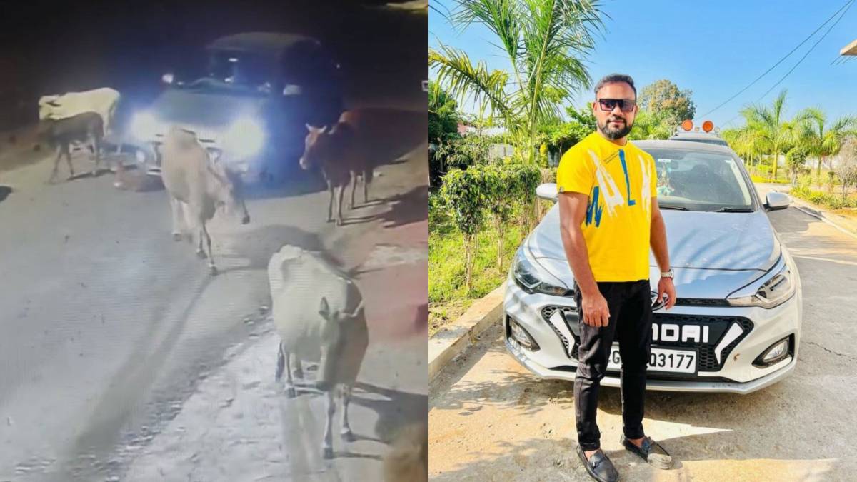 गौ हत्या मामला: गाय के बछड़े को कार से कुचलने वाला आरोपी गिरफ्तार, कृषक परिरक्षण अधिनियम के तहत की गई कार्रवाई…