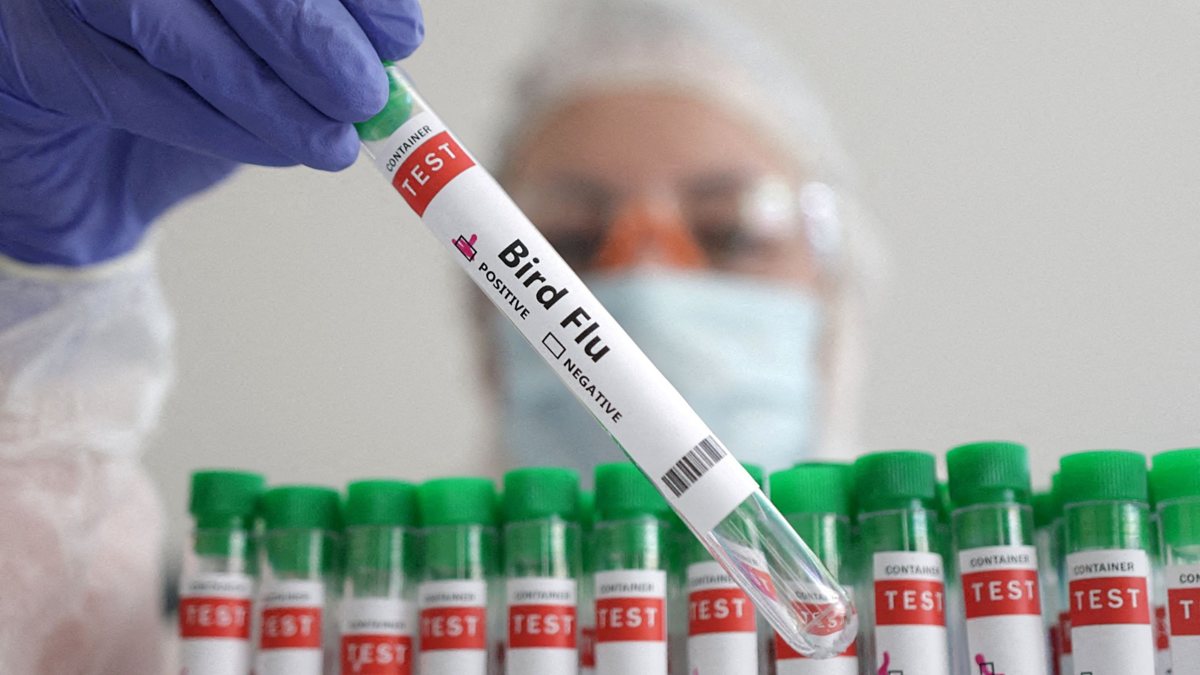 Bird flu in India: इंसानों में भी फैल रहा बर्ड फ्लू, भारत में आया दूसरा केस, महामारी का रूप लिया तो भारत जैसे सघन जनसंख्या वाले देश में मचा सकता है कहर? जानें  क्यों इससे डरने की जरूरत है