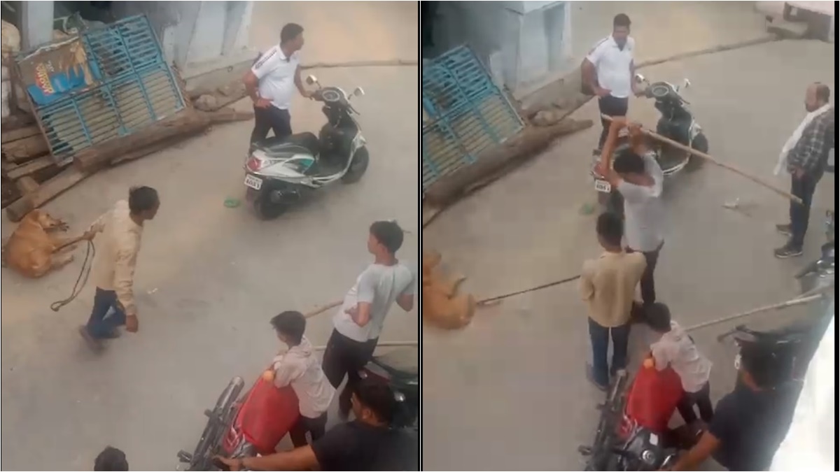 इंसान है या हैवान: कुत्ते को रस्सी से बांधा, फिर बेरहमी से डंडों से पीटा, बेजुबान की चीख सुनकर भी नहीं पसीजा दिल