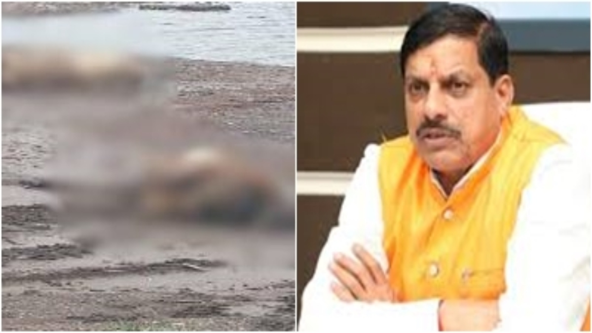 सिवनी गोवंश हत्याकांड मामले में सरकार का बड़ा फैसला: उच्चस्तरीय जांच के लिए टीम गठित, 2 आरोपियों पर लगा NSA
