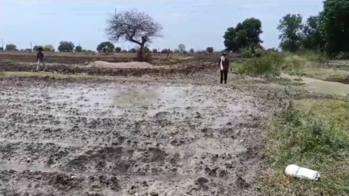 खेत में पहुंच रहा संत सिंगाजी ताप परियोजना का गंदा पानी, फसलों को हो रहा नुकसान, किसानों ने रास्ता बंद किया विरोध