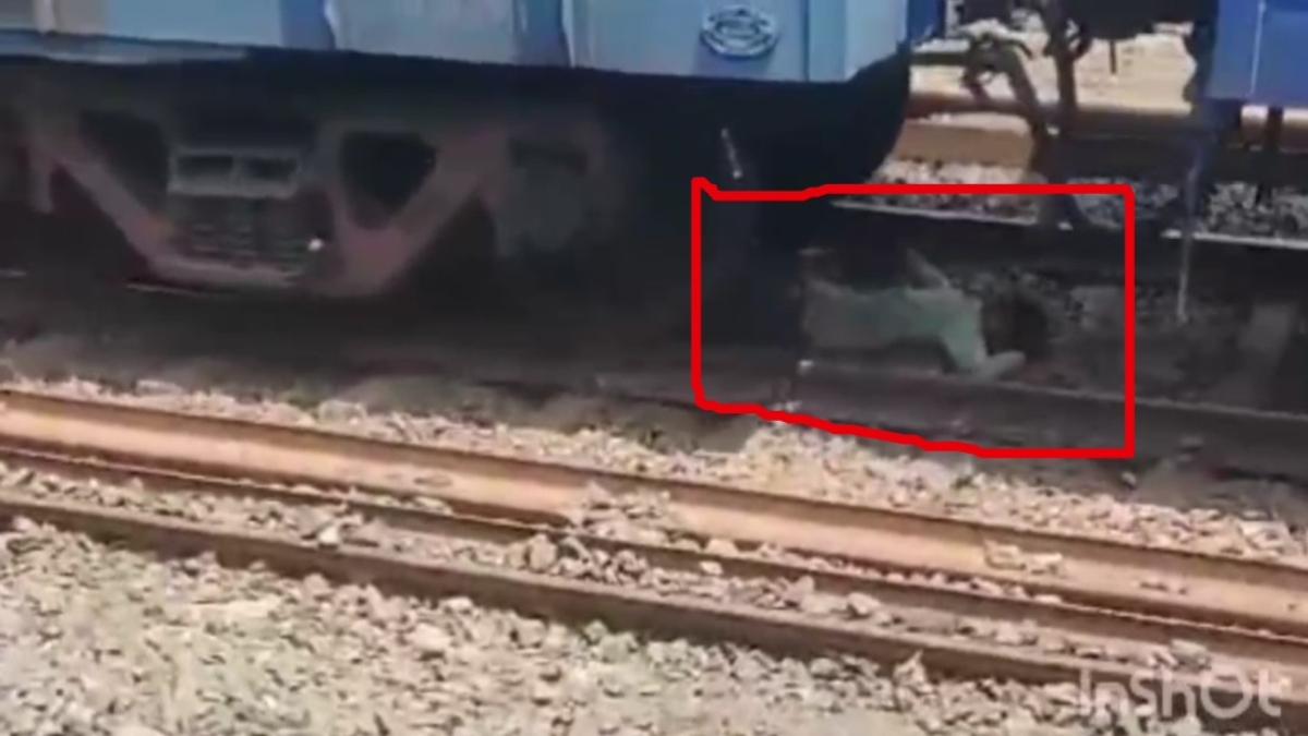 मौत को मात देकर टक से वापस आया युवक, ऊपर से गुजर गई पूरी ट्रेन, देखें Video