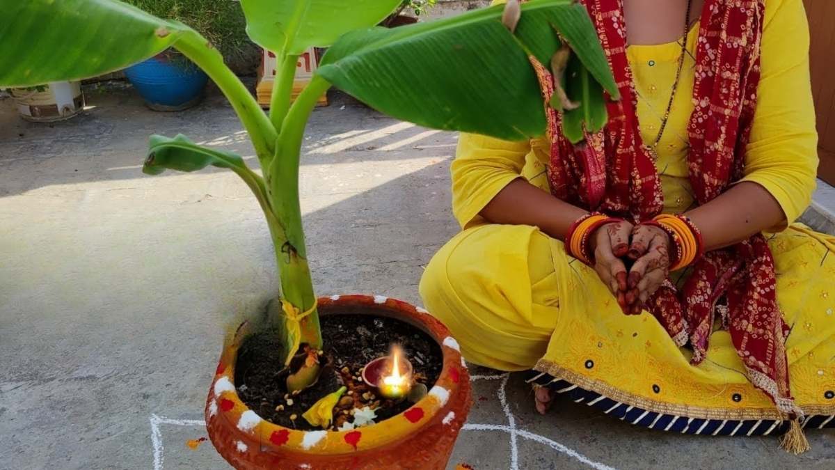 केले के पेड़ के पास जलाएं सरसों के तेल का दीया, मिलते हैं अद्भुत लाभ…