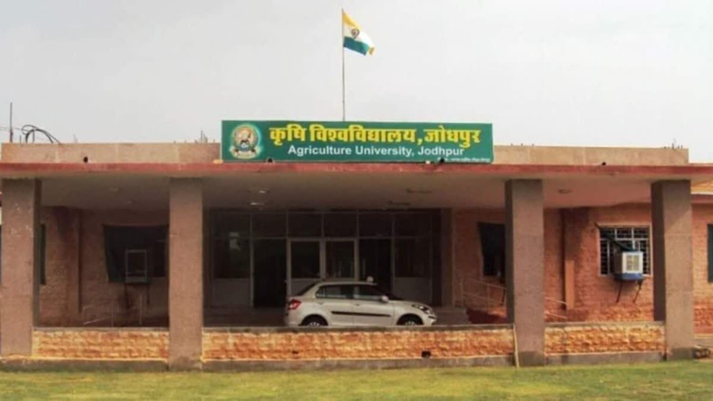 Rajasthan News: स्ट्रॉन्ग रूम से छात्र का OMR शीट गायब, कृषि विश्वविद्यालय प्रबंधन में मचा हड़कंप