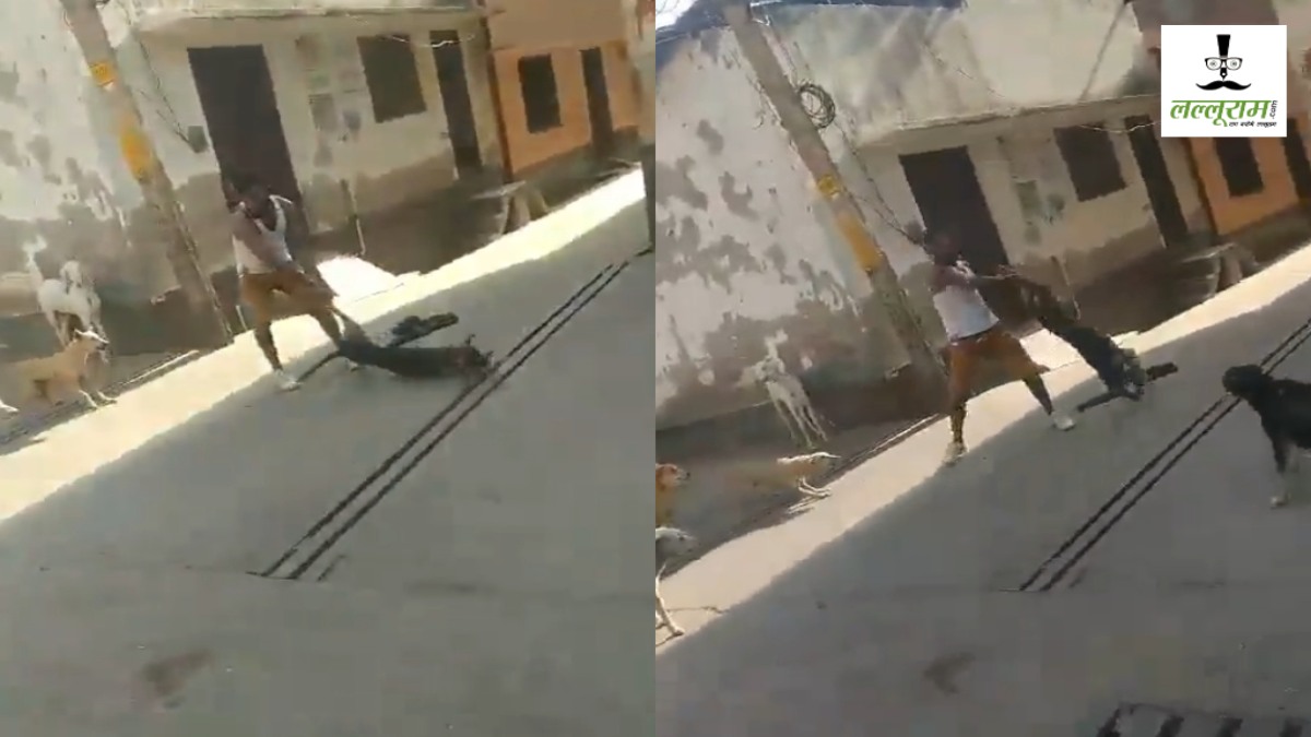 कुत्ते के साथ हैवानियत का खौफनाक Video: पहले टांग पकड़कर घुमाया, फिर उठाकर पटका…