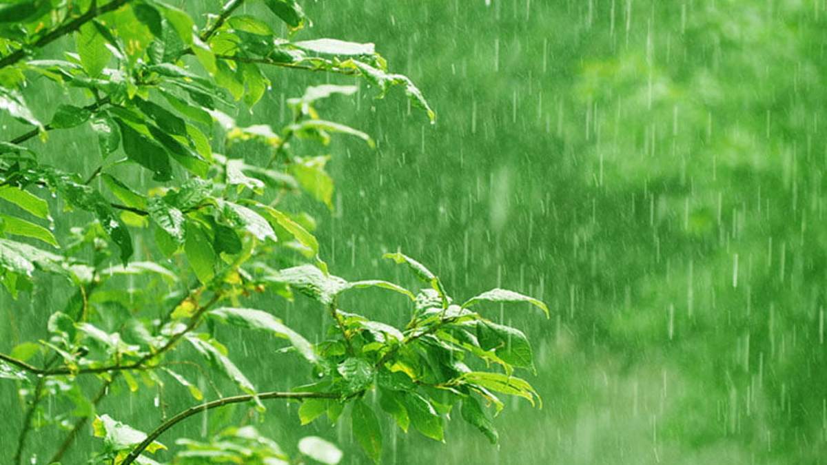 अगले पांच दिनों में छत्तीसगढ़ में बरस सकते हैं बदरा, देश के कई राज्यों में मानसून देगा दस्तक