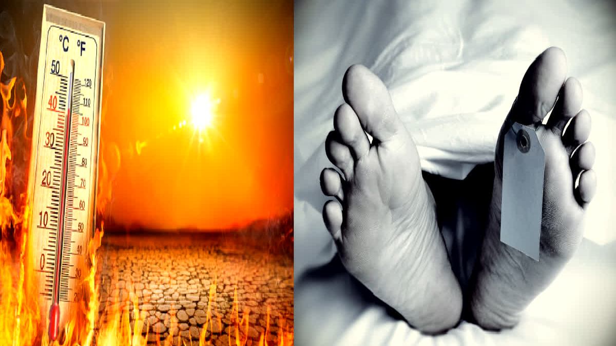 सूरज बरपा रहा कहर : उत्तर प्रदेश में भीषण गर्मी से 33 लोगों की मौत, आज भी मौसम विभाग का अलर्ट जारी