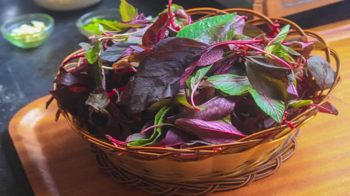 Laal Bhaji Benefits : अगर जान गए इस भाजी के फायदे तो रोज करेंगे अपने Diet में शामिल, जाने इसके अनगिनत फायदे …
