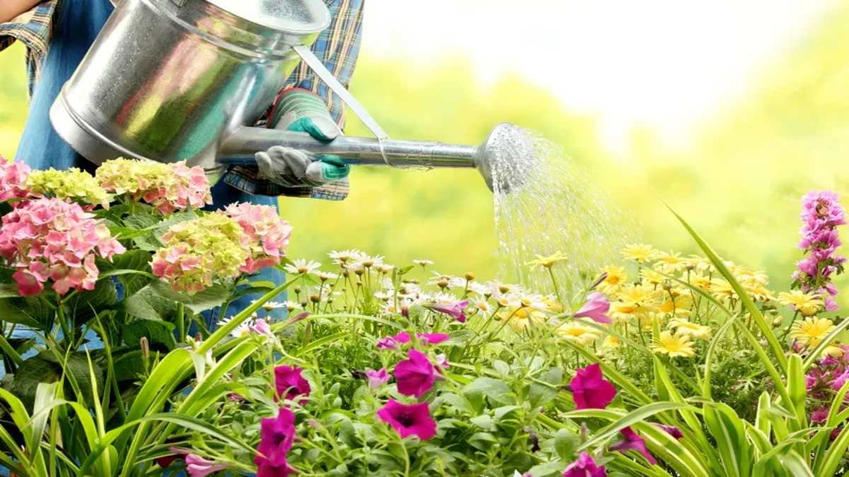 आपके Garden के पौधे में लग रहे कीट और फंगस, तो इस खबर में है उसका कारगर उपाय…