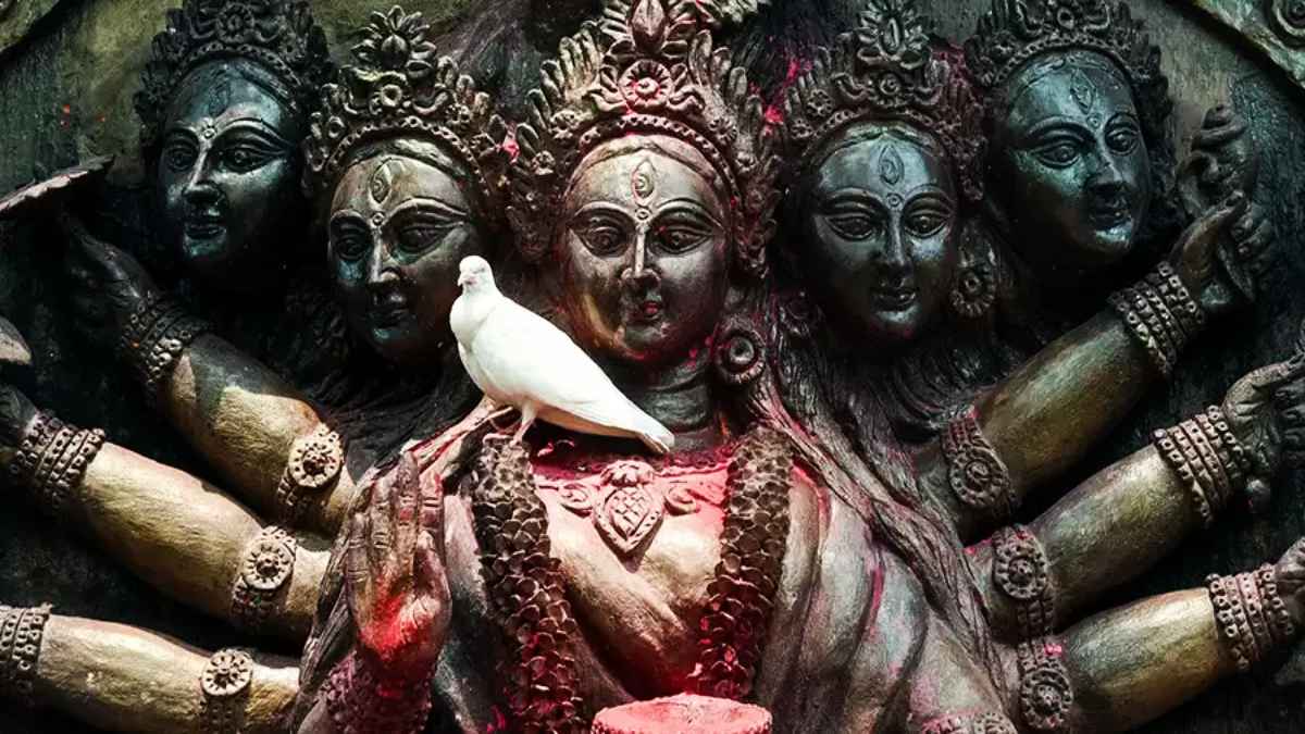 अंबुबाची उत्सव के बाद खुला माता कामाख्या का मंदिर, इन तीन दिनों में अनेक रोचक पूजा विधि में शामिल होता है पूरा शहर…