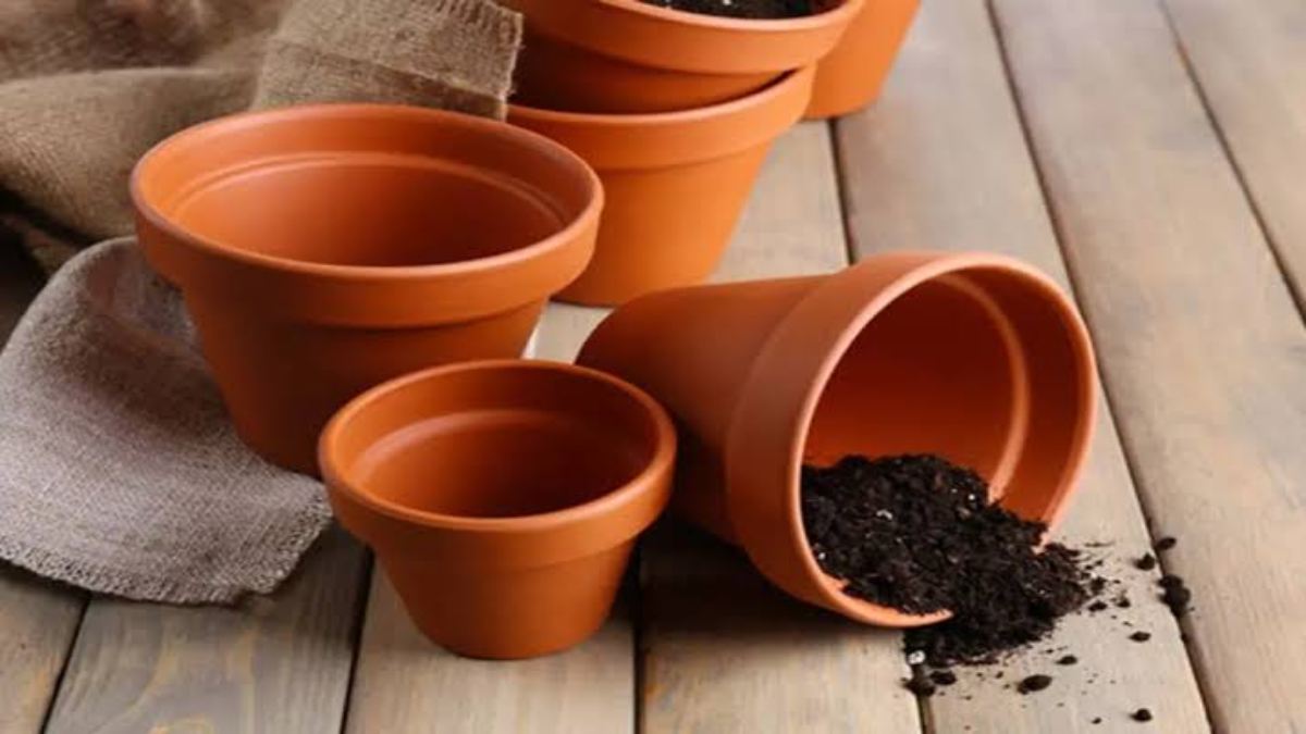 धार्मिक ज्ञान: राहु के बुरे प्रभाव को खत्म करता है खाली गमला, जानिए घर की किस दिशा में रखना होता है सही…