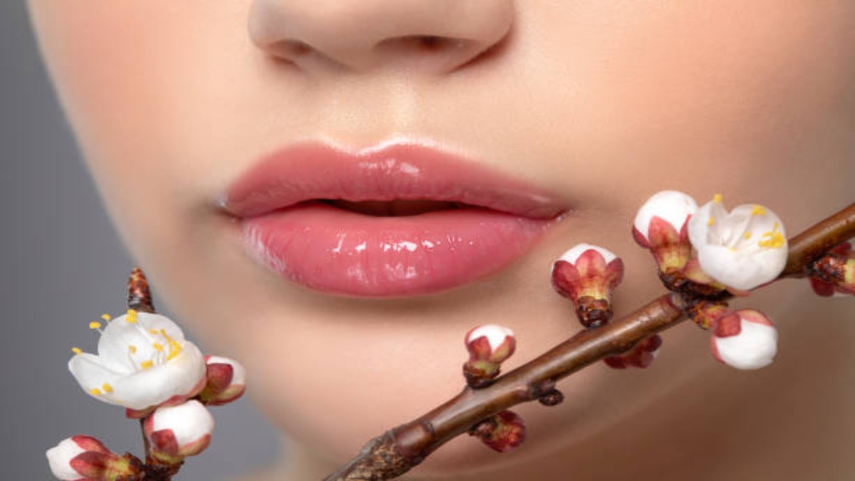 Lips Care Tips: फटे और रूखे होंठ होते हैं कष्टदायी, इन लिप मास्क को हफ्ते में दो बार करें Apply और पाएं कोमल होंठ