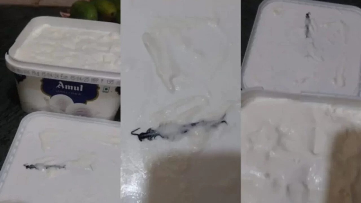 मुंबई में Ice Cream में इंसानी उंगली के बाद अब नोएडा में आइसक्रीम में निकला कनखजूरा, देखिए Video