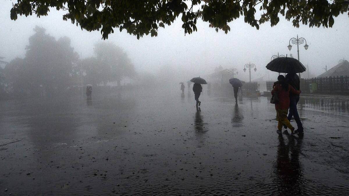 छत्तीसगढ़ में अगले 3 दिनों तक भारी बारिश की संभावना, मौसम विभाग ने जारी किया यलो अलर्ट
