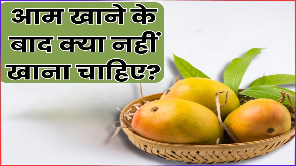 आम खाने के बाद भूलकर भी न खाएं ये 5 चीजें, हो सकती है उल्टी, दस्त और गैस की समस्या