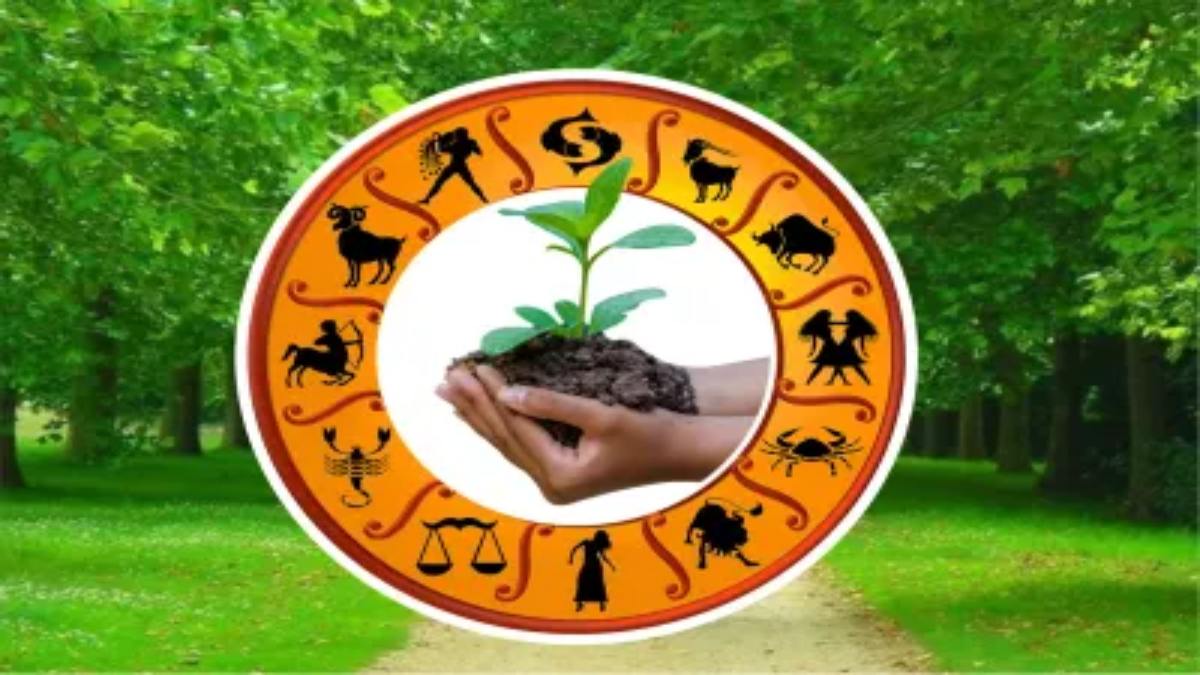 अपनी राशि के अनुसार करें पौधारोपण, प्रकृति के साथ सुधारे अपना ग्रह नक्षत्र…
