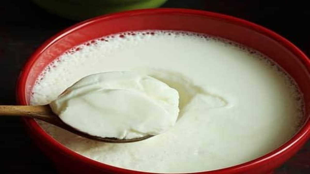 Kitchen hack-गर्मी में दही हो जाती है खट्टी, तो इन tips को follow करके जमाए