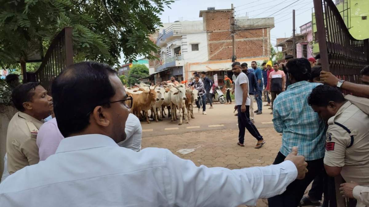 गौ तस्करी रोकने, बजरंग दल और विहिप का अनोखा प्रदर्शन, मवेशियों को लेकर पहुंचे SDM ऑफिस, देखें वीडियो