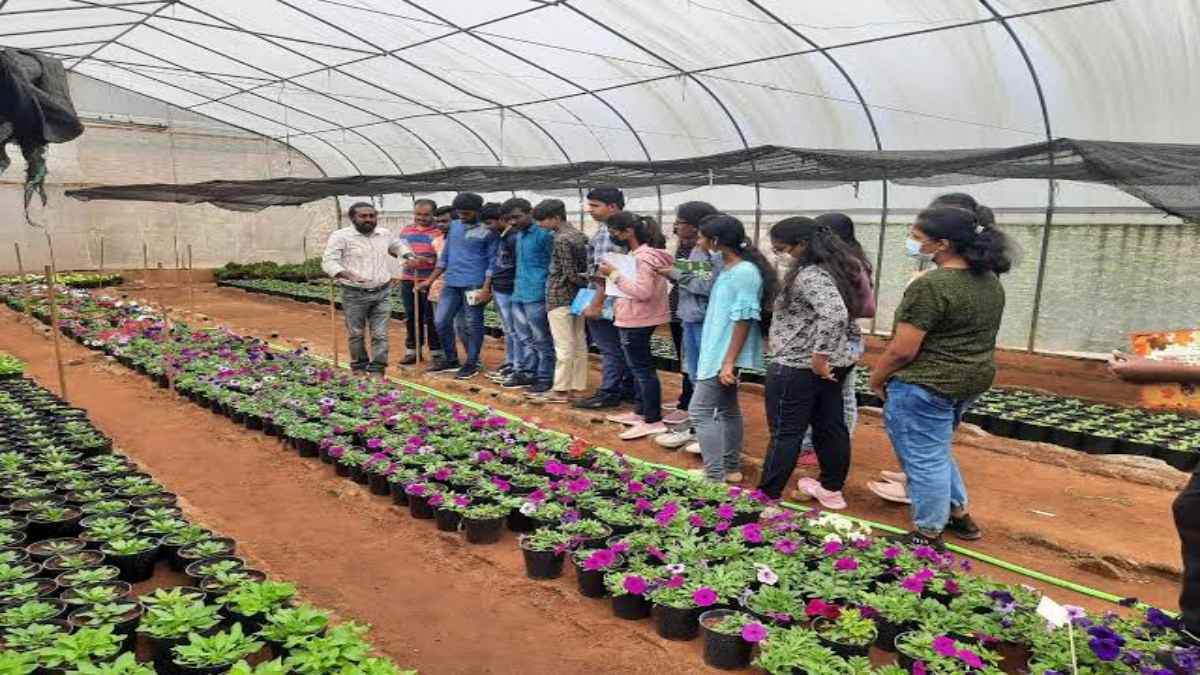 कम कॉम्पिटिशन में आप चाहते हैं डॉक्टर, इंजीनियर वाला पैकेज तो यह कोर्स को कर लें, नौकरी के साथ बिजनेस के भी मिलेंगे सुनहरा अवसर…
