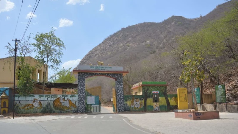 Rajasthan News: 1 जुलाई से 3 माह के लिए बंद होने जा रहा है सरिस्का टाइगर रिजर्व