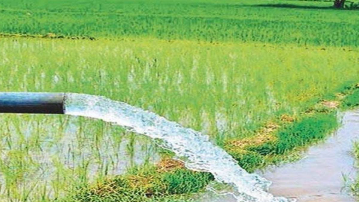 MP में अन्नदाताओं पर सियासत: सिंचाई का रकबा तो बढ़ा, लेकिन किसानों आय में नहीं हुई बढ़ोतरी, कांग्रेस के आरोपों पर बीजेपी ने किया पलटवार