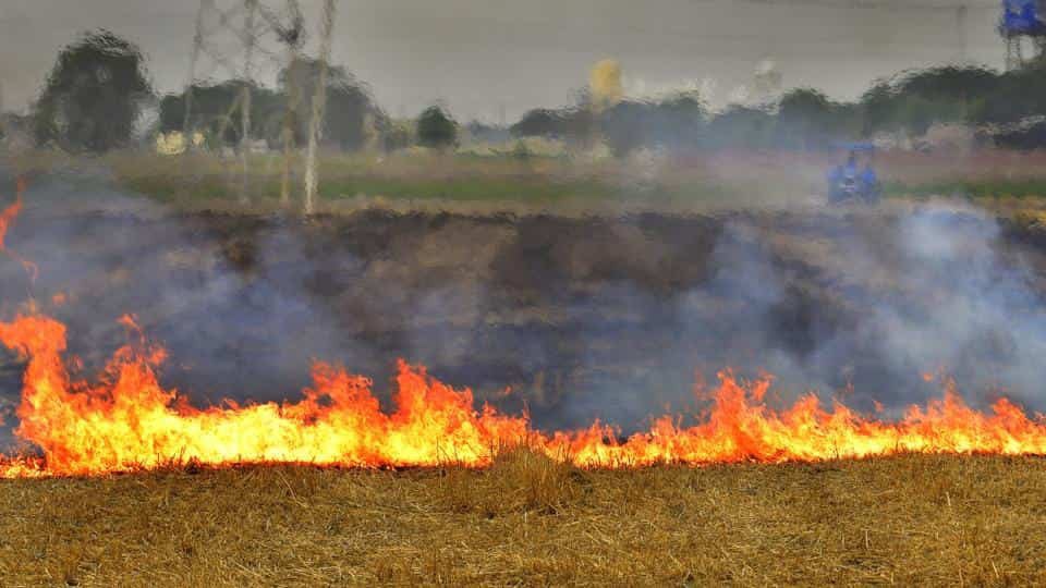Punjab News: पराली के उचित प्रबंधन के लिए केंद्र ने जारी किए 150 करोड़