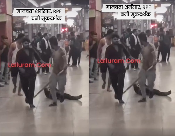 लल्लूराम डॉट कॉम की खबर का असर, RPF के  3 स्टॉफ  सस्पेंड