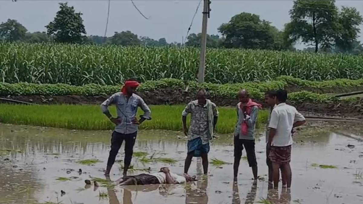 विद्युत विभाग की बड़ी लापरवाही: खेत में काम करने गए युवक की बिजली तार के चपेट में आने से मौत, पहले भी एक युवक और कई मवेशियों की जा चुकी है जान…