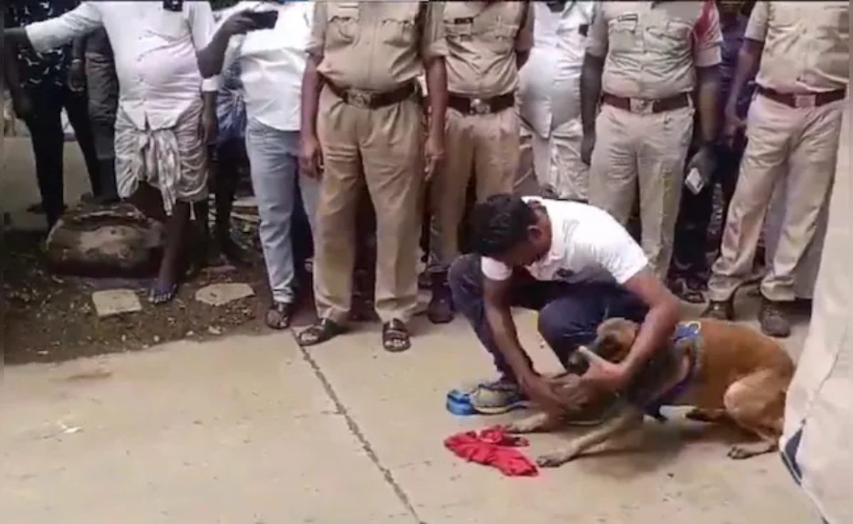 8 साल की बच्ची से गैंगरेपः छठी क्लास के तीन छात्रों ने वारदात को दिया अंजाम, सबूत मिटाने को शव नहर में फेंका, Nandyala 8 Year Old Girl Gangraped