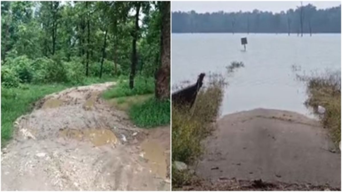 कैसे निकलें गांव से बाहर ? बारिश में अपने ही घरों में कैद हो जाते है ग्रामीण, वैकल्पिक मार्ग, लेकिन घनघोर जंगल और कीचड़ से भरा