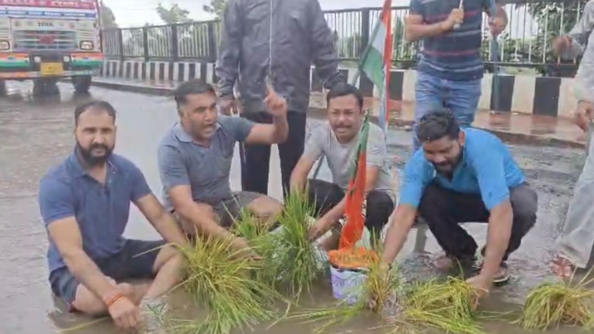 Budhni News: कांग्रेस कार्यकर्ताओं का अनोखा प्रदर्शन, ओवरब्रिज के गड्ढों में रोपे धान के पौधे, कहा- हादसों का इंतजार कर रहा प्रशासन 