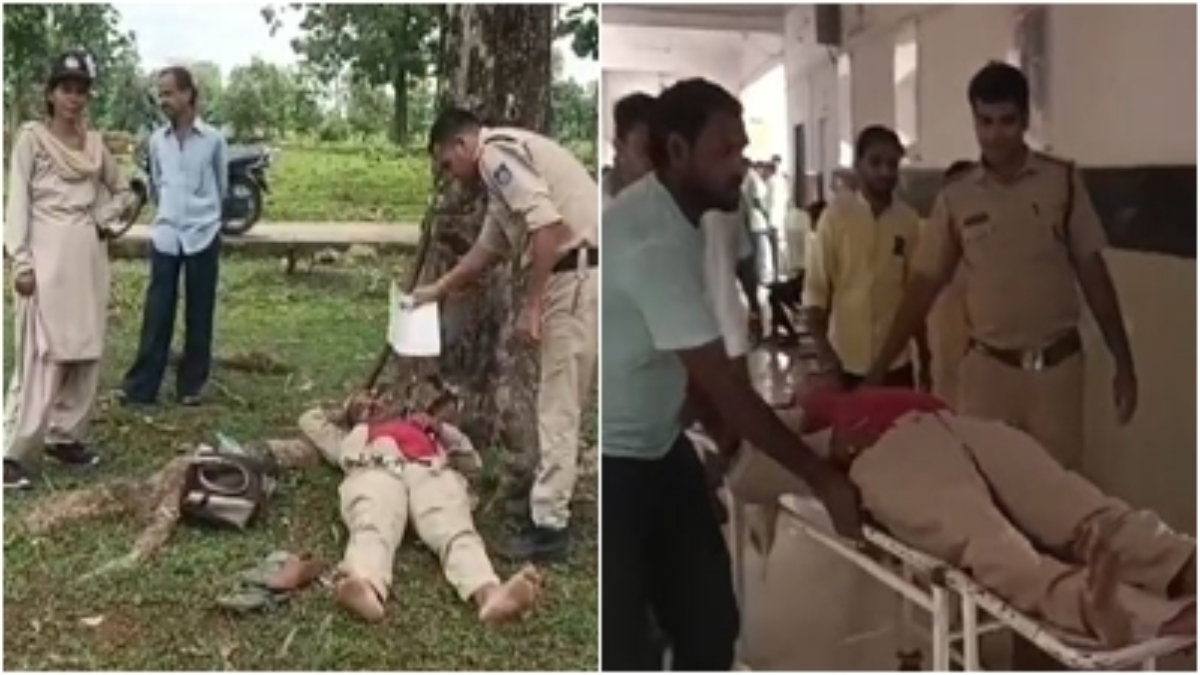 वन माफियाओं के हौसले बुलंद: अतिक्रमण हटाने के दौरान करंट की चपेट में आया वनकर्मी, क्षेत्र में बिछा रखा था बिजली के तार