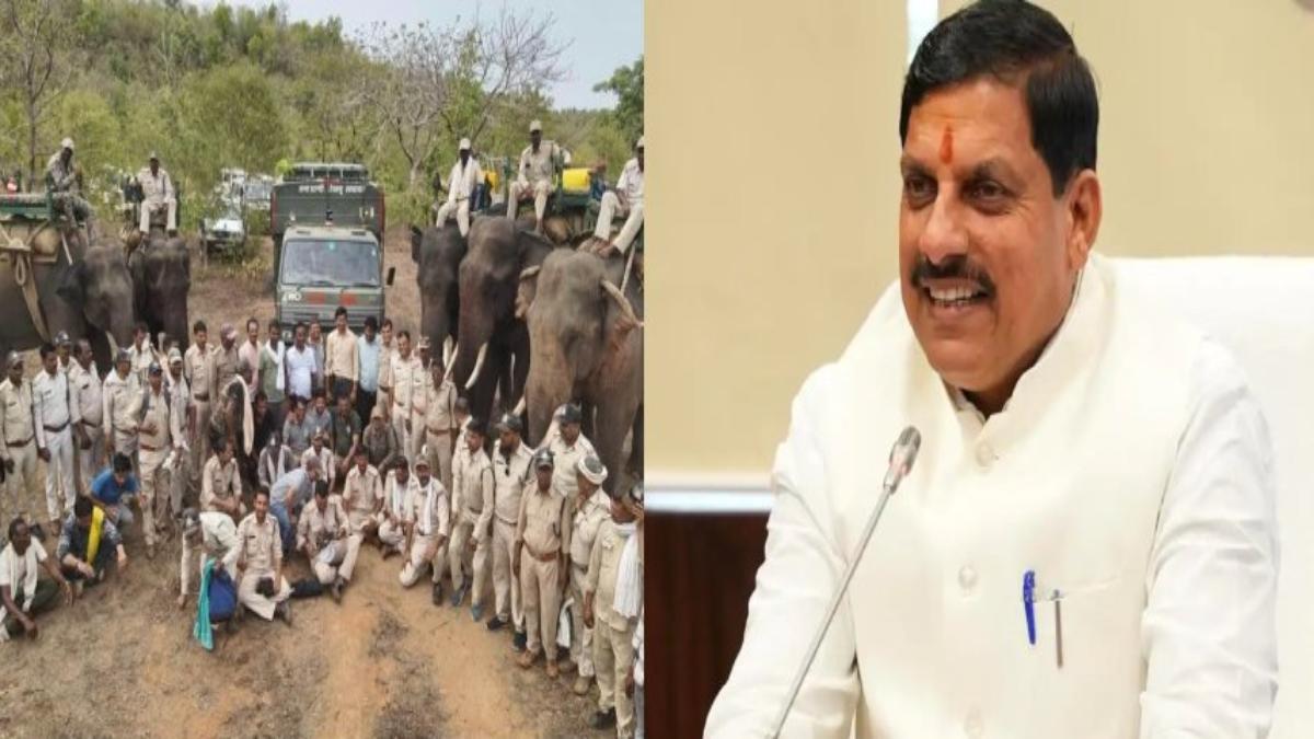 Tiger Day पर 10 वनकर्मियों का सम्मान करेंगे CM मोहन, टीम ने कड़ी मशक्कत के बाद बाघ का किया था रेस्क्यू