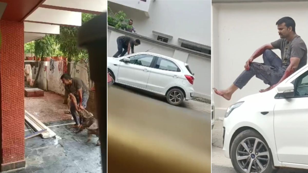 Video: पिटबुल कुत्तों ने डिलीवरी बॉय पर किया जानलेवा हमला, लहूलुहान युवक ने कार पर चढ़कर बचाई अपनी जान, कुत्ते के मालिक के खिलाफ FIR दर्ज