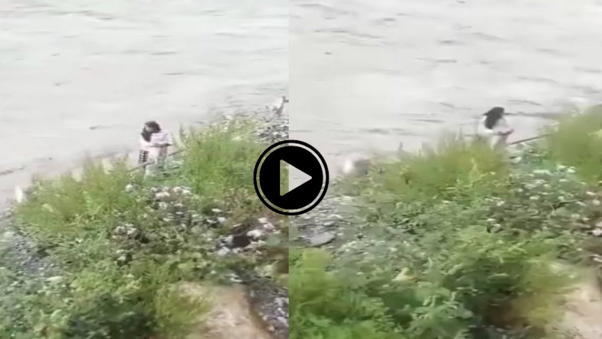 मौत का रोंगटे खड़े करने देना वाला Video: युवती ने नदी में कूदकर दी जान, चिल्लाते रहे लोग