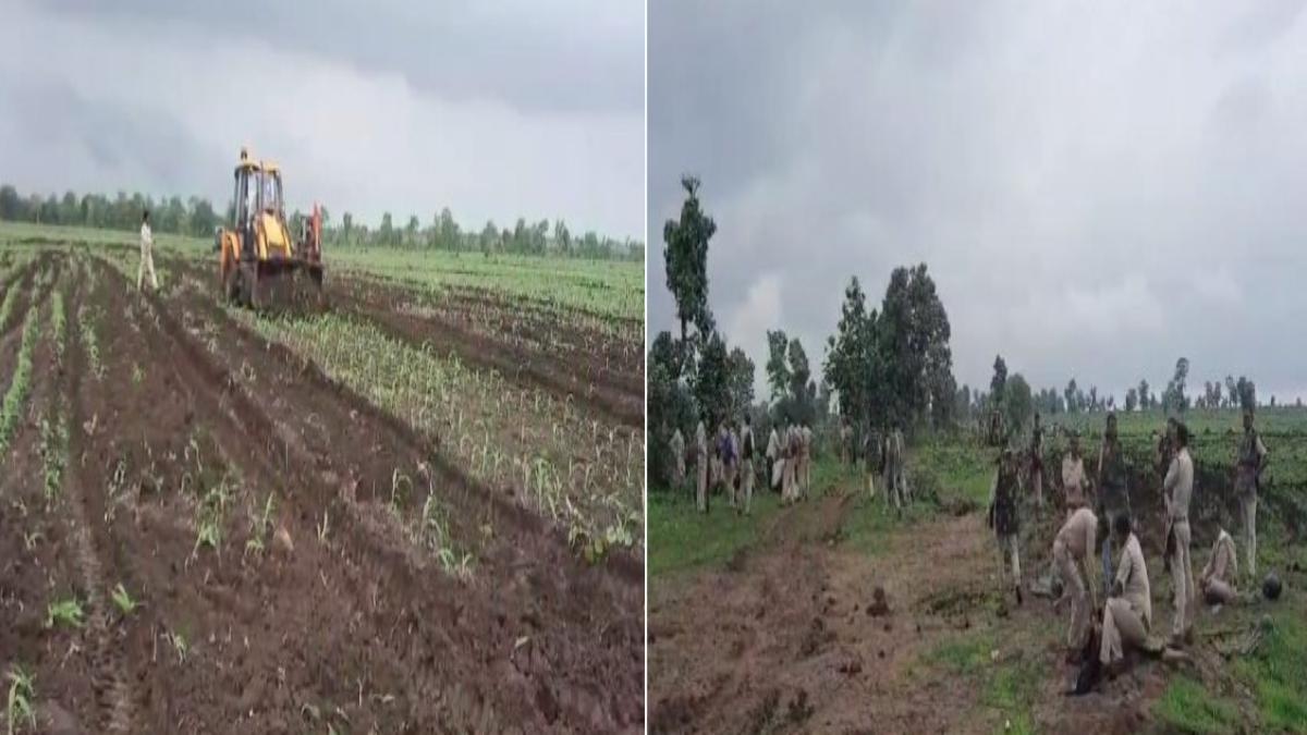 वन विभाग की जमीन में माफियाओं ने बोई फसल: फाॅरेस्ट अफसर, पुलिस और राजस्व अधिकारियों ने मुक्त कराई जमीन, 400 जवानों का फोर्स रहा मौजूद