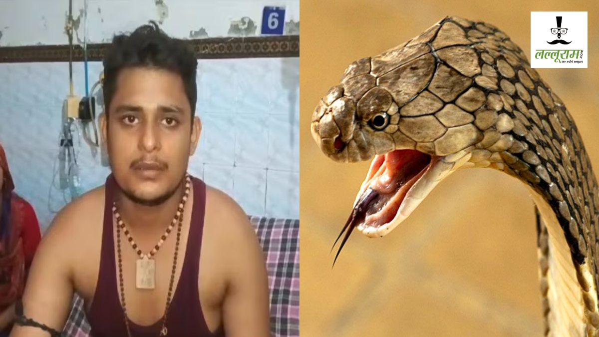 एक ही सांप शख्स को बार-बार क्यों काट रहा है? परिजनों ने ‘योगी बाबा’ से लगाई गुहार, हो गया ‘बड़ा एक्‍शन’
