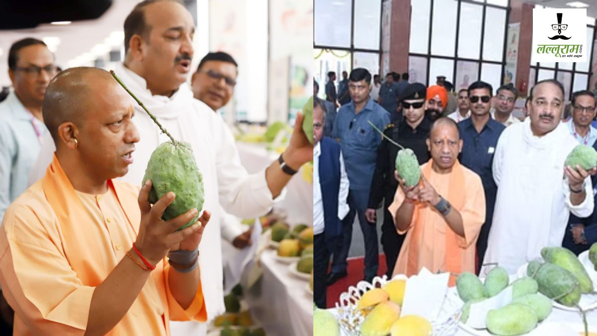 ‘जो ‘आम’ होगा, वही ‘राजा’ भी होगा…’, जानें यूपी के CM योगी ने ऐसा क्यों कहा ? देखें VIDEO