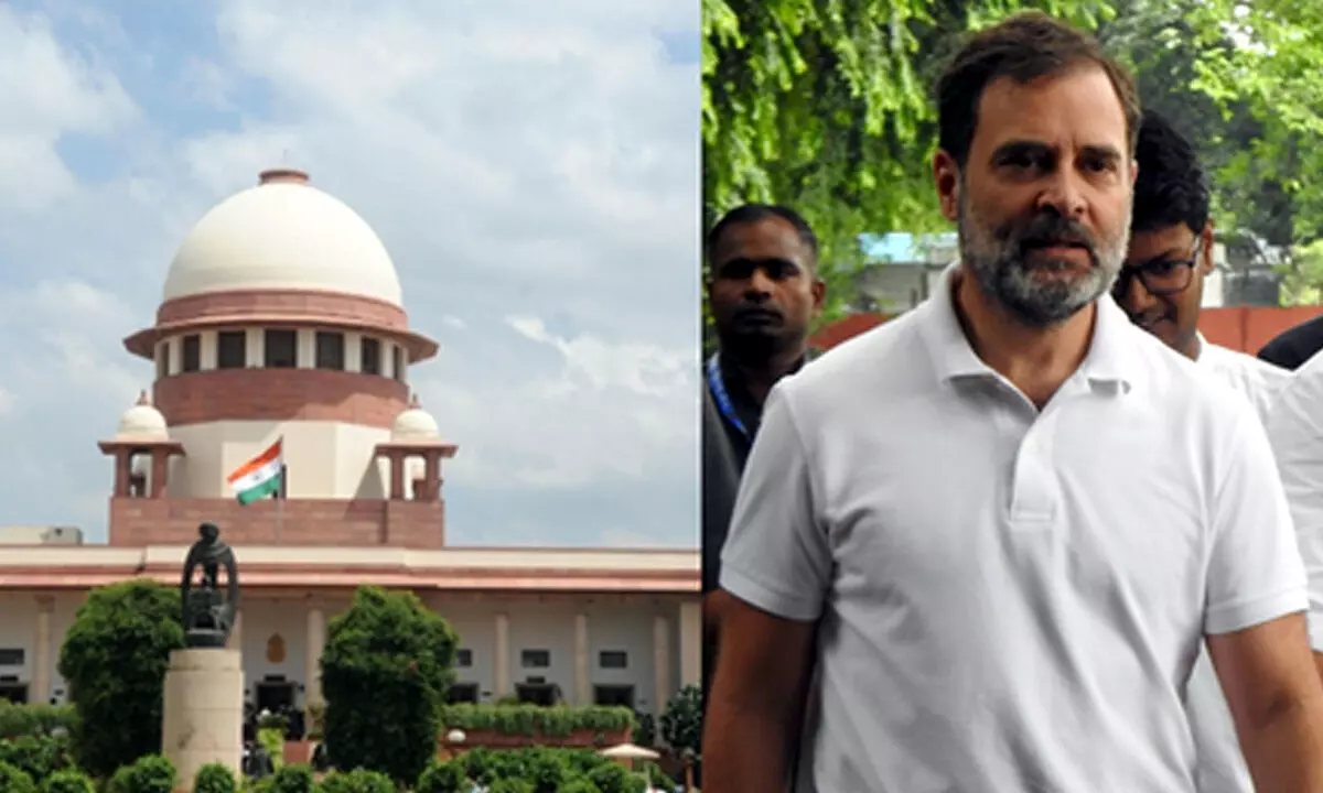Supreme Court: राहुल गांधी के खिलाफ याचिका पर वकील को सुप्रीम कोर्ट ने जमकर फटकारा, जानें क्या है पूरा मामला- Rahul Gandhi