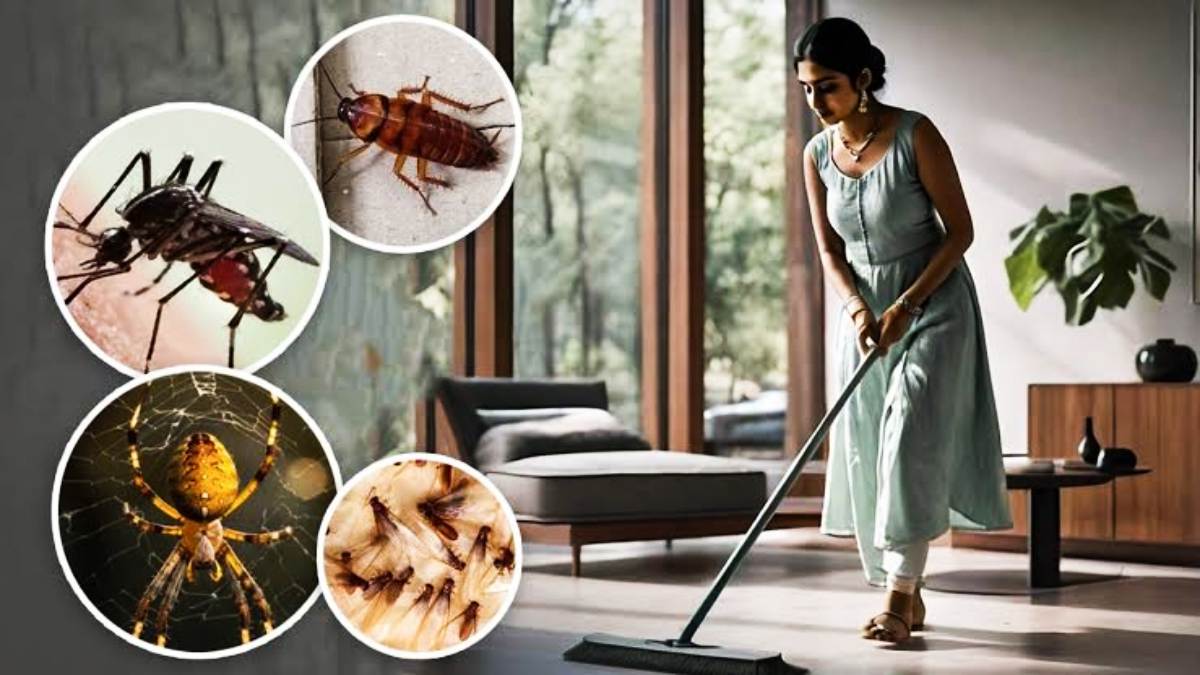 मानसून है कीड़े-मकोड़े का मौसम, जाने किन घरेलू उपायों से पाएं इनसे निजात…