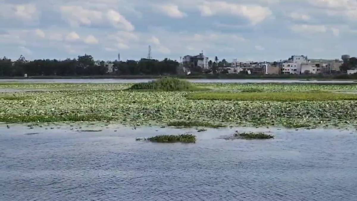दलपत सागर हो रहा दूषित: निगम पर लगा NGT के नियमों का उल्लंघन करने का आरोप, सीधे पहुंच रहा गंदे नालों का पानी